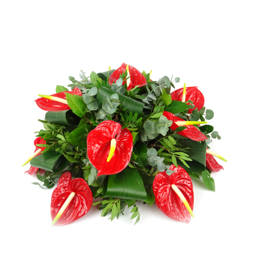 Duoplant foto-9 Anthurium opgestoken als biedermeier