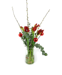 Amaryllis met Pinus, kerstballen en katjes in vaas