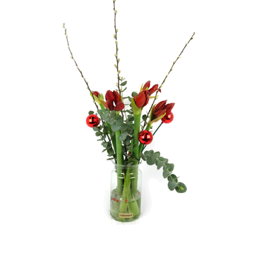 Amaryllis met Pinus, kerstballen en katjes in vaas