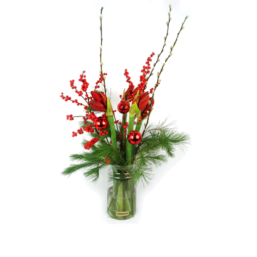 Duoplant - Amaryllis met Pinus, kerstballen, katjes en rode ilex in vaas