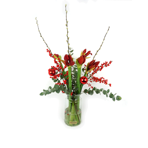 Duoplant - Amaryllis met Pinus, kerstballen, katjes en rode ilex in vaas. 5 mooie rode Amaryllis opgemaakt in een vaas met eucalyptus, rode kerstballen,katjes en Rode ilex