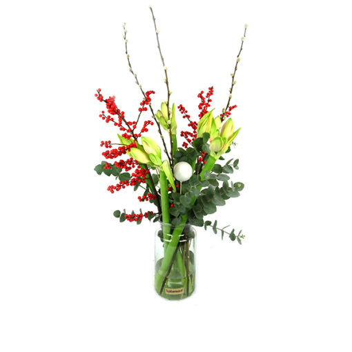 Duoplant - Witte kerst Amaryllis met Pinus, kerstballen en katjes in vaas