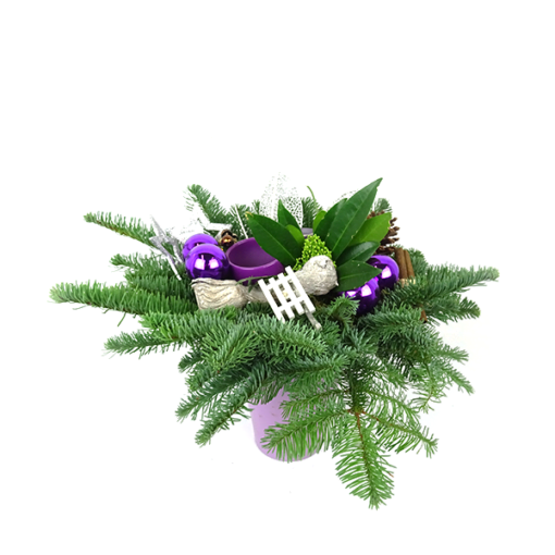 Duoplant - kerststuk Purple Christmas