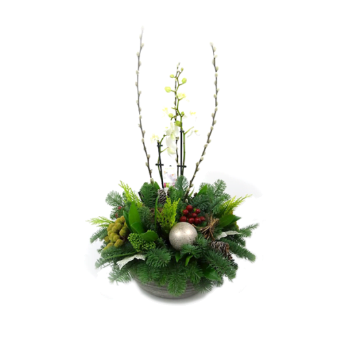 Duoplant - kerststuk met orchidee