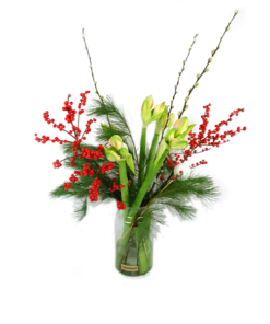 Duoplant - witte Amaryllis met Pinus, kerstballen, katjes en rode ilex in vaas
