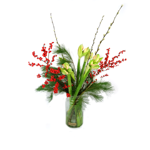 Duoplant - witte Amaryllis met Pinus, kerstballen, katjes en rode ilex in vaas